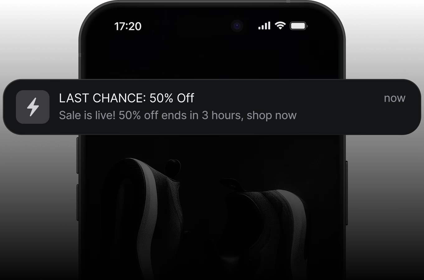 Flash Sale or Limited Offer